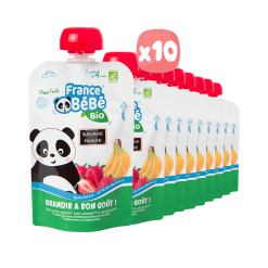 TÚI TRÁI CÂY VỊ DÂU CHUỐI HỮU CƠ CHO BÉ