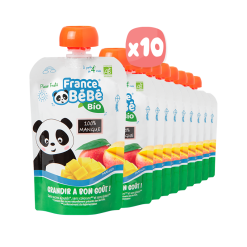 TÚI TRÁI CÂY XOÀI HỮU CƠ