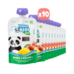 TÚI TRÁI CÂY XOÀI ĐÀO TÁO HỮU CƠ X10