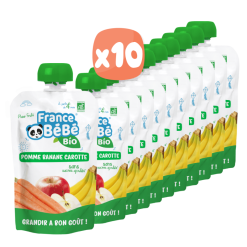 TÚI TRÁI CÂY VỊ TÁO CHUỐI CÀ RỐT HỮU CƠ